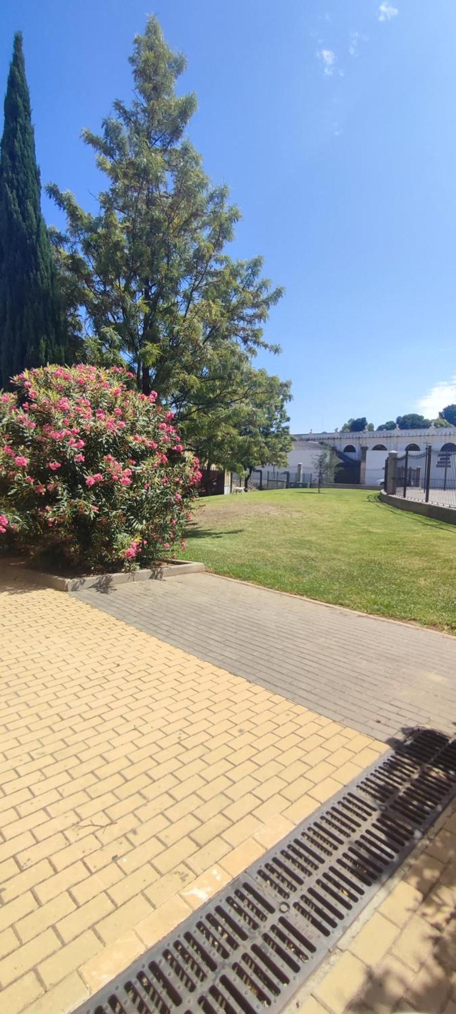 Cuatro Caminos Centro Jerez Apartment Херес де ла Фронтера Екстериор снимка