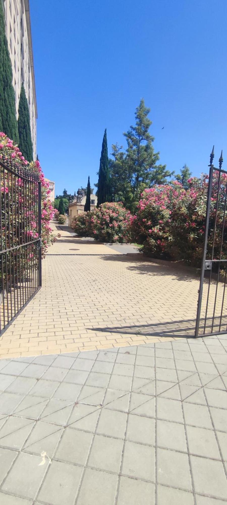 Cuatro Caminos Centro Jerez Apartment Херес де ла Фронтера Екстериор снимка